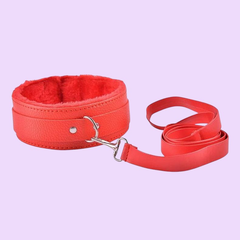 Fur-Lined Leather Collar with Lead
