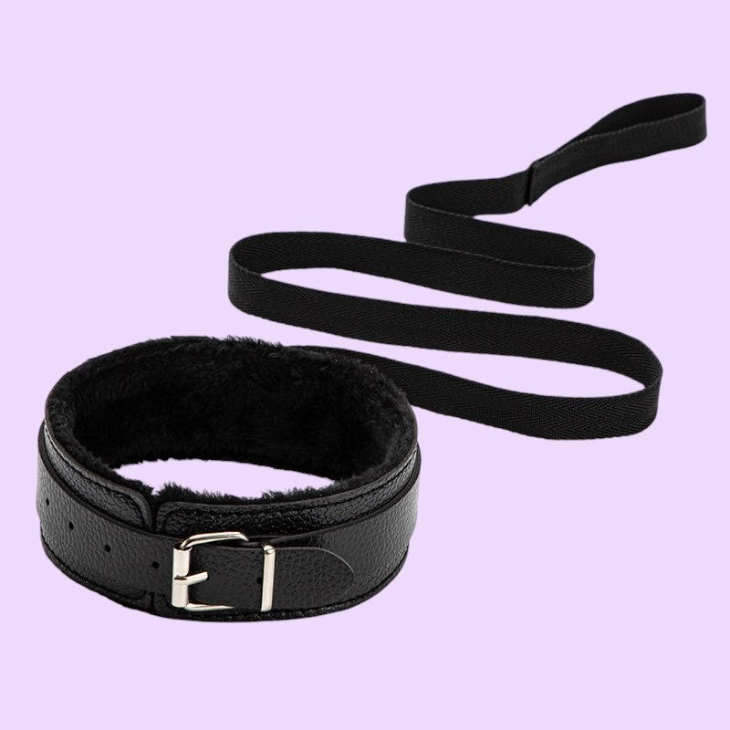 Fur-Lined Leather Collar with Lead