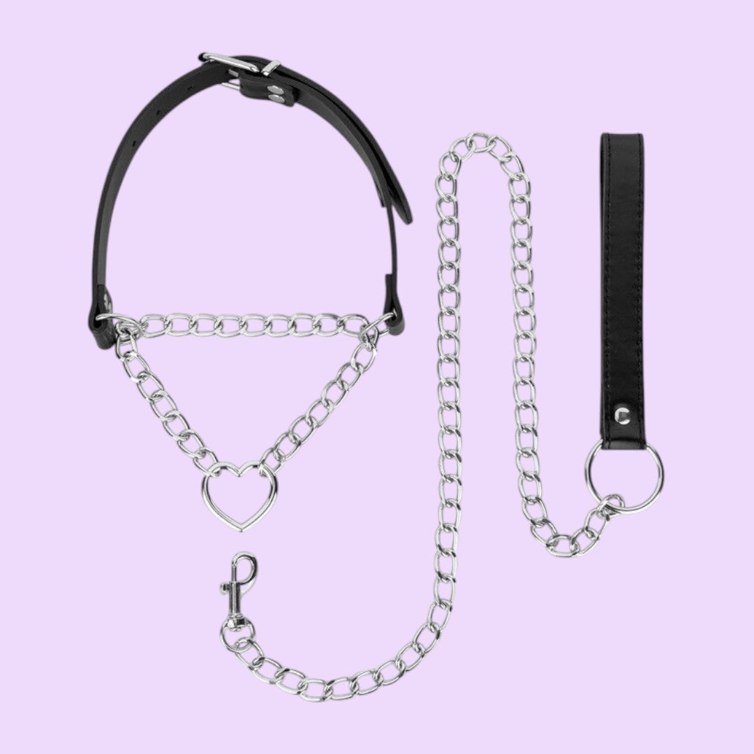 Bedroom Fantasies Collar with Chain Lead — Silver
