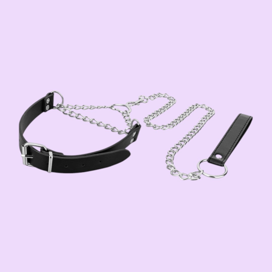 Bedroom Fantasies Collar with Chain Lead — Silver