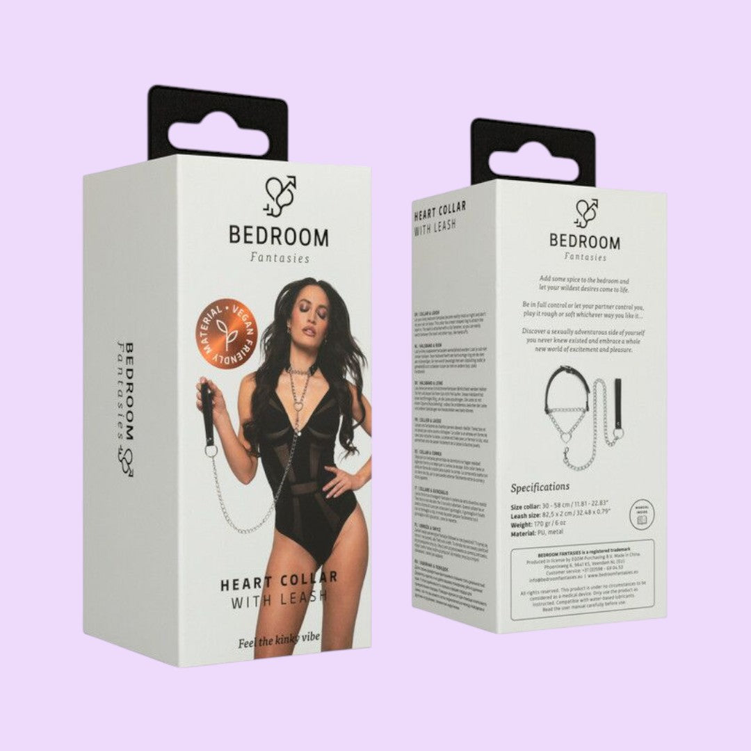 Bedroom Fantasies Collar with Chain Lead — Silver