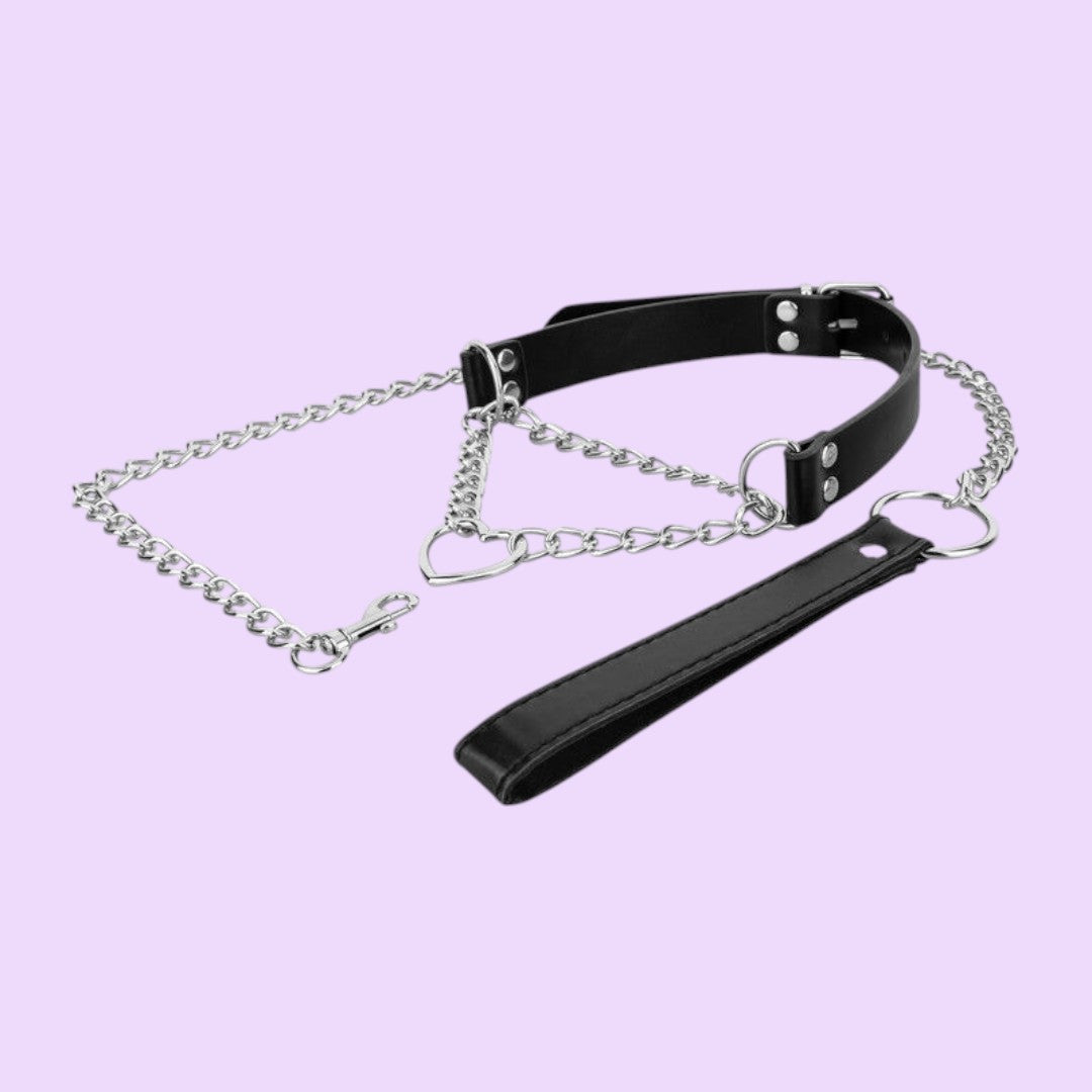 Bedroom Fantasies Collar with Chain Lead — Silver